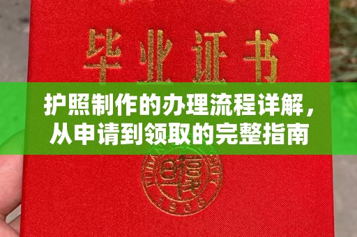 惠阳护照制作的办理流程详解，从申请到领取的完整指南